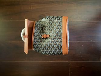 Mini goyard