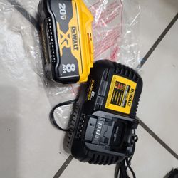 Dewalt 20v Xr 8AH Battery And 6Amp Charger 