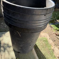 6 Pots 15 Gallons Selling All Together 