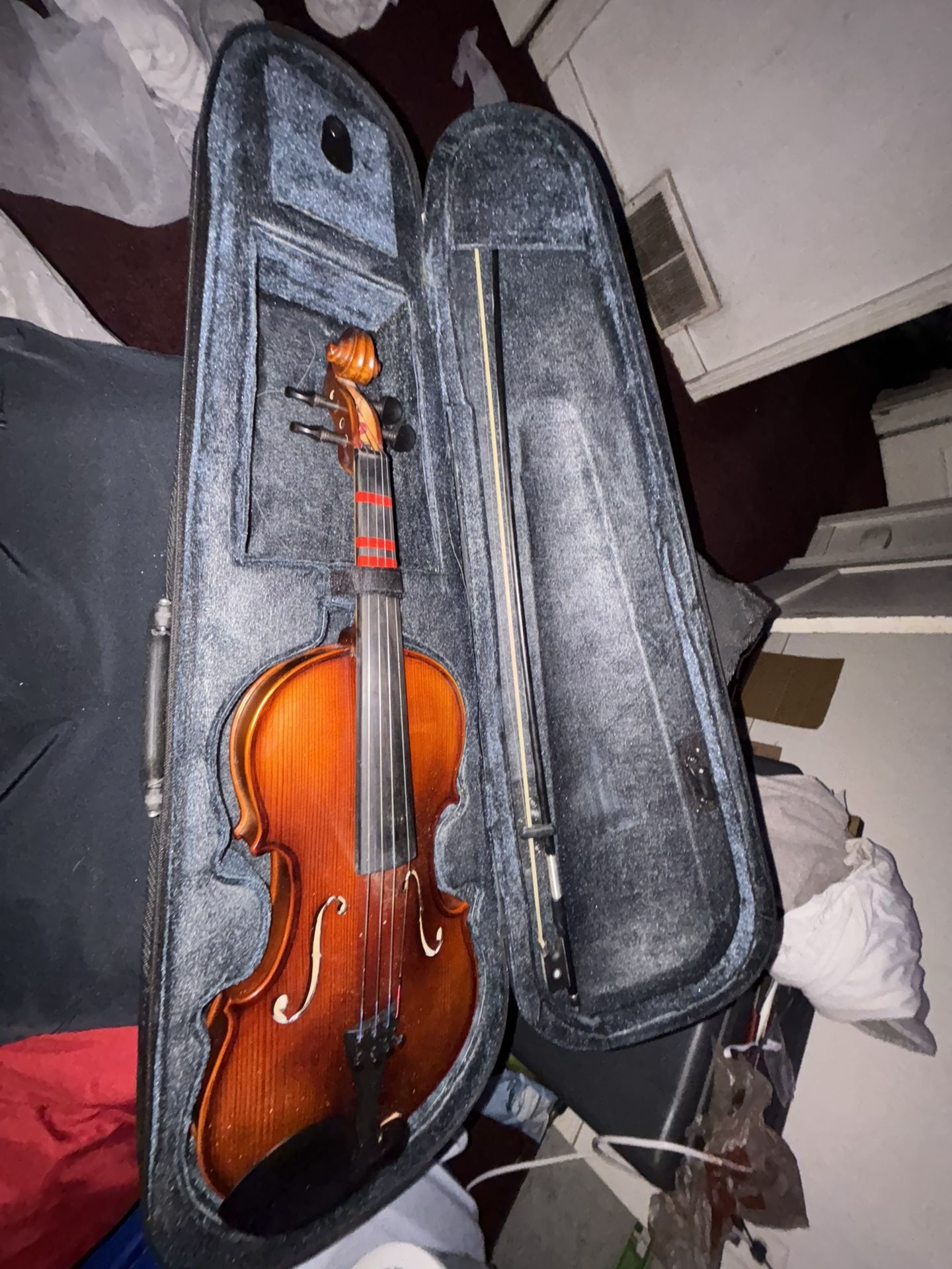 violin 