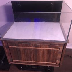 Custom Nano Aquarium 5 Gallons