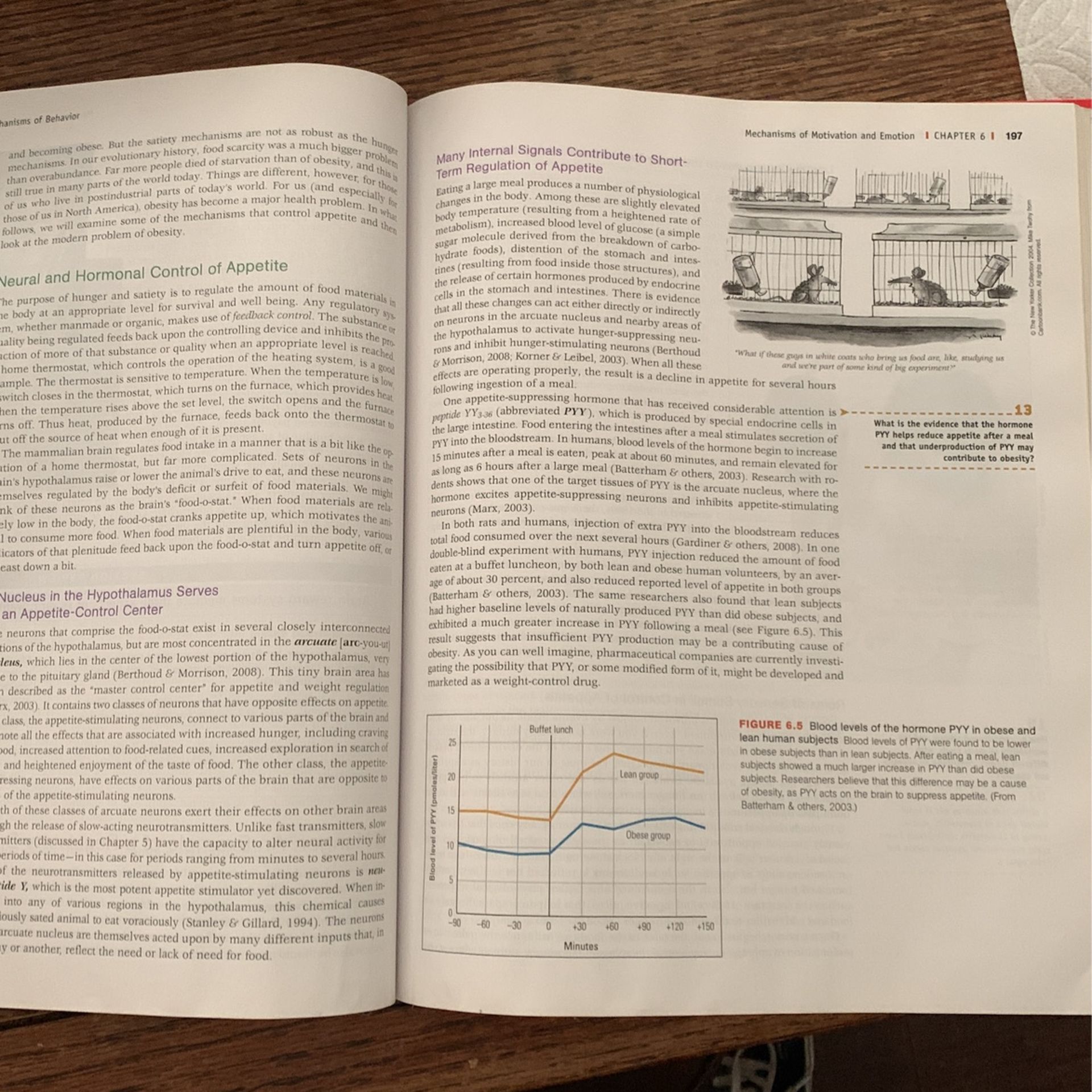 College Psychology Book (Peter Gray)