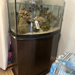 36 Gallon Bow Front Fish Tank 