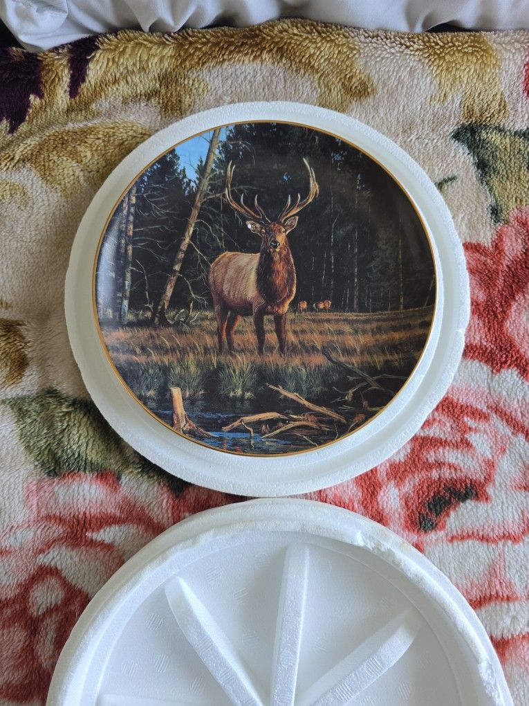 Elk Meadow