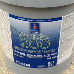 ProMarr200 Interior Gray Paint
