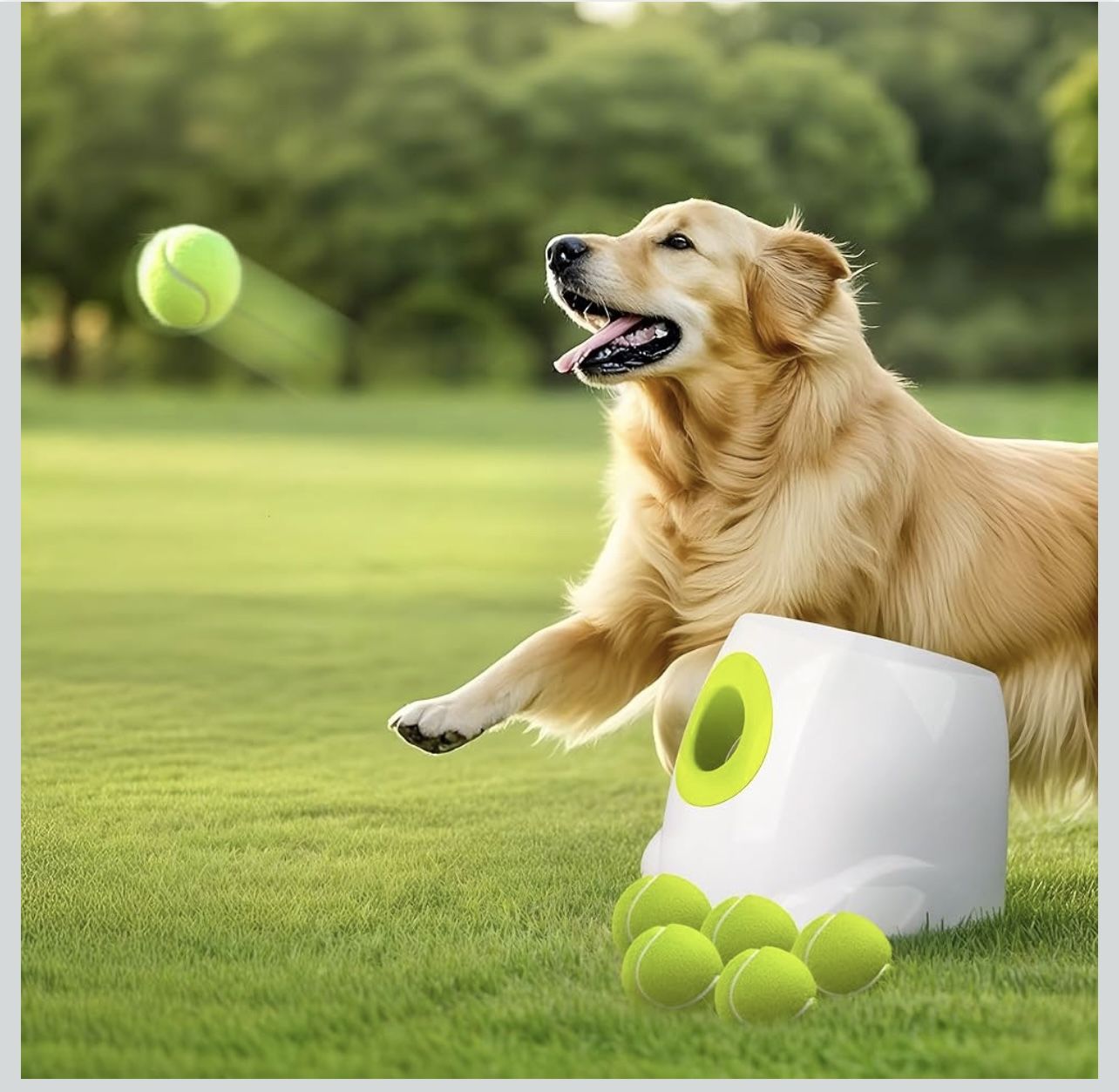 FP Automatic Dog Ball Launcher Automatic Ball Launcher for Options: 2 patterns