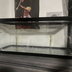 Aquarium