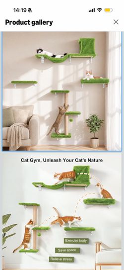Cat Wall Shelves