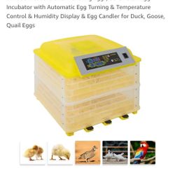 WINADO Incubator 96 Eggs