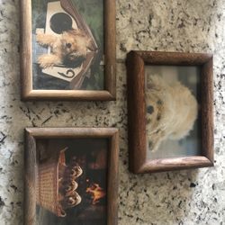 Set Of 3 Quality Oak Frames