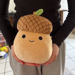 Acorn SQUISHMALLOWS