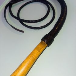 Bull Whip