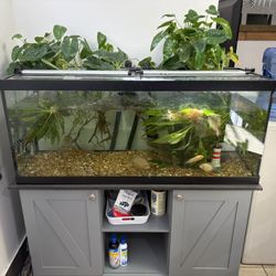 75 Gallon Fish Tank Aquarium  + Lights 