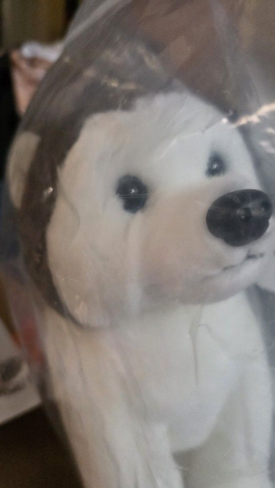 Vintage Nanook Ty Beanie Buddy