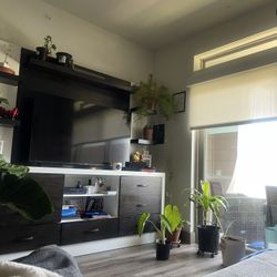 Entertainment Console 