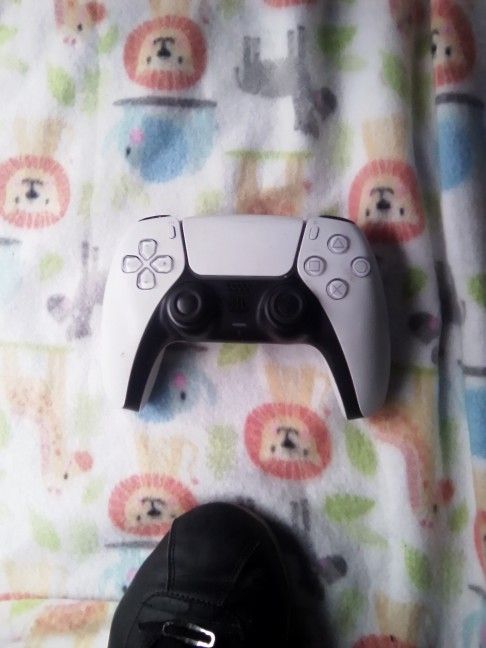 PS4 Controller