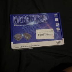 Magnet Game To Play With Your Friends 