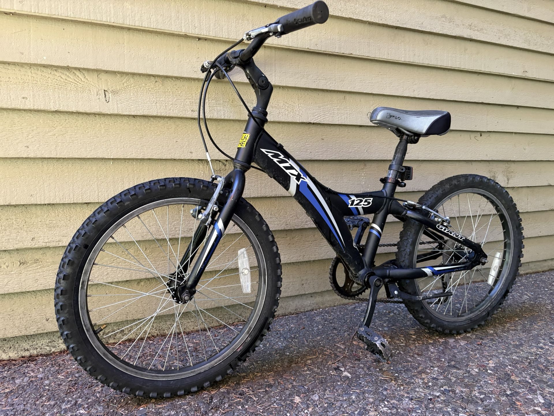 Giant MTX 125 Aluminum Frame Youth Mountain Bike (20 in. Wheels)
