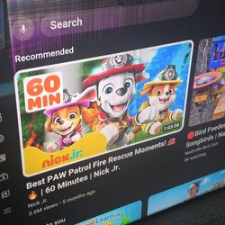 65" LG QNED85 - Light Screen Damage