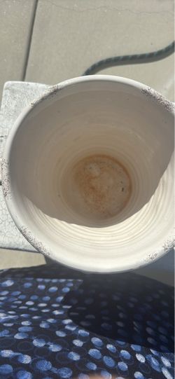 White Ceramic Planter Pot and more