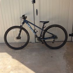 Specialized Rockhopper Rock Hopper Small W 29 In Tires  