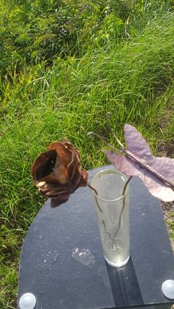 Copper rose and butterflies