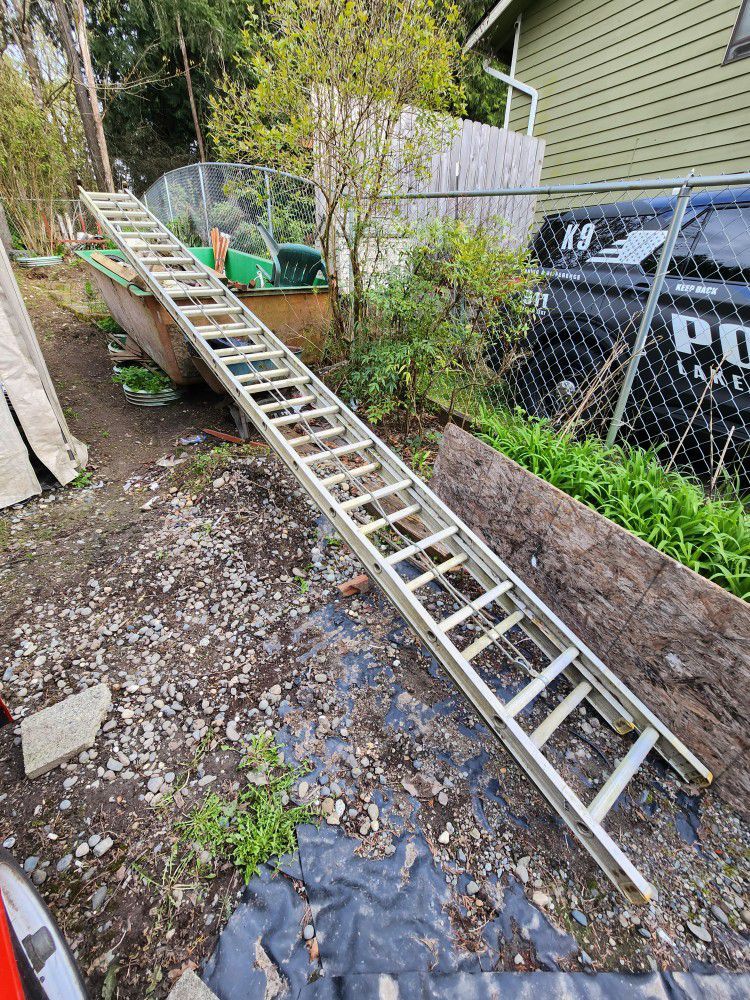 40"  Louisville Aluminum Ladder