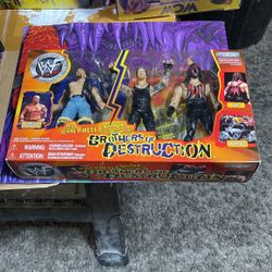 WWF Brothers Of Destruction