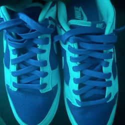 Nike Dunks (Size 11)