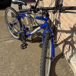 Bicicletas 
