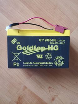 GT12080-HG Battery