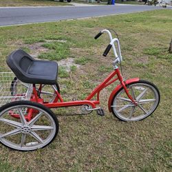 24 Inch Trailmate Adult Tricycle 