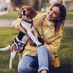 Female Dog Washable Diaper New Size X-LARGE 