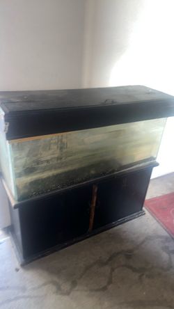 100 gallon fish tank