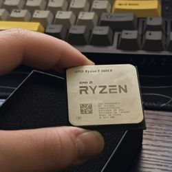 Ryzen 5 3600X