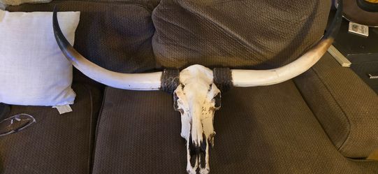 Faux Bull head