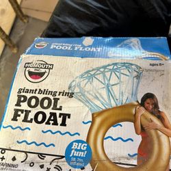 Pool Float 