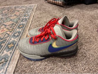 Lebron XX
