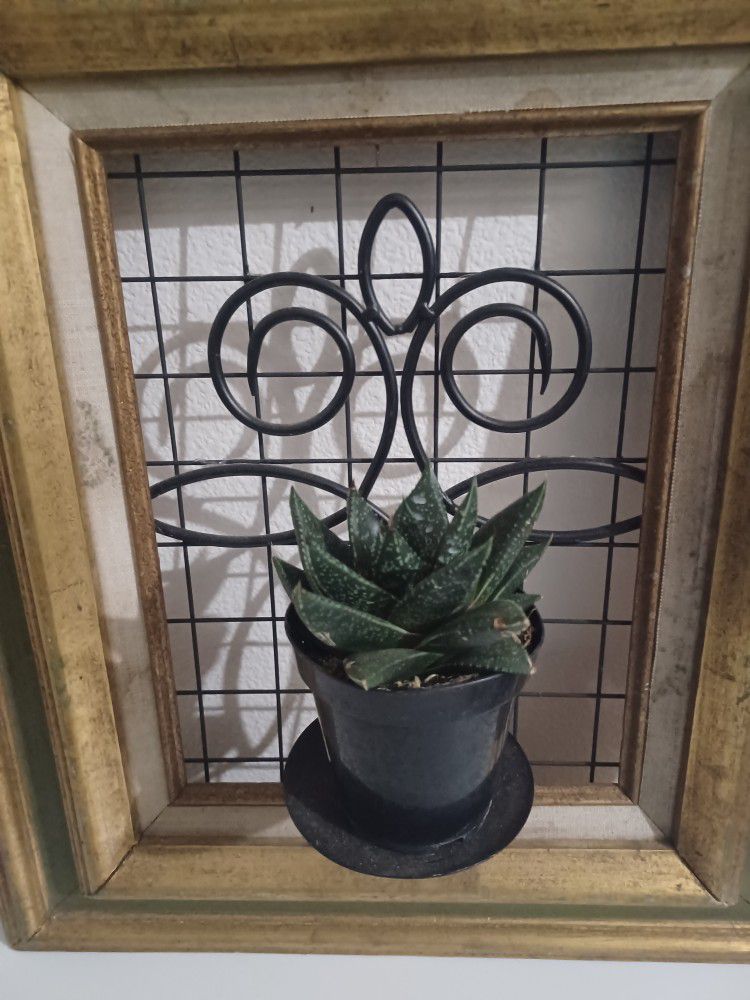 Frame Art Project-plant Or Candle Holder
