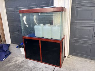 250 Gallon Fish Tank