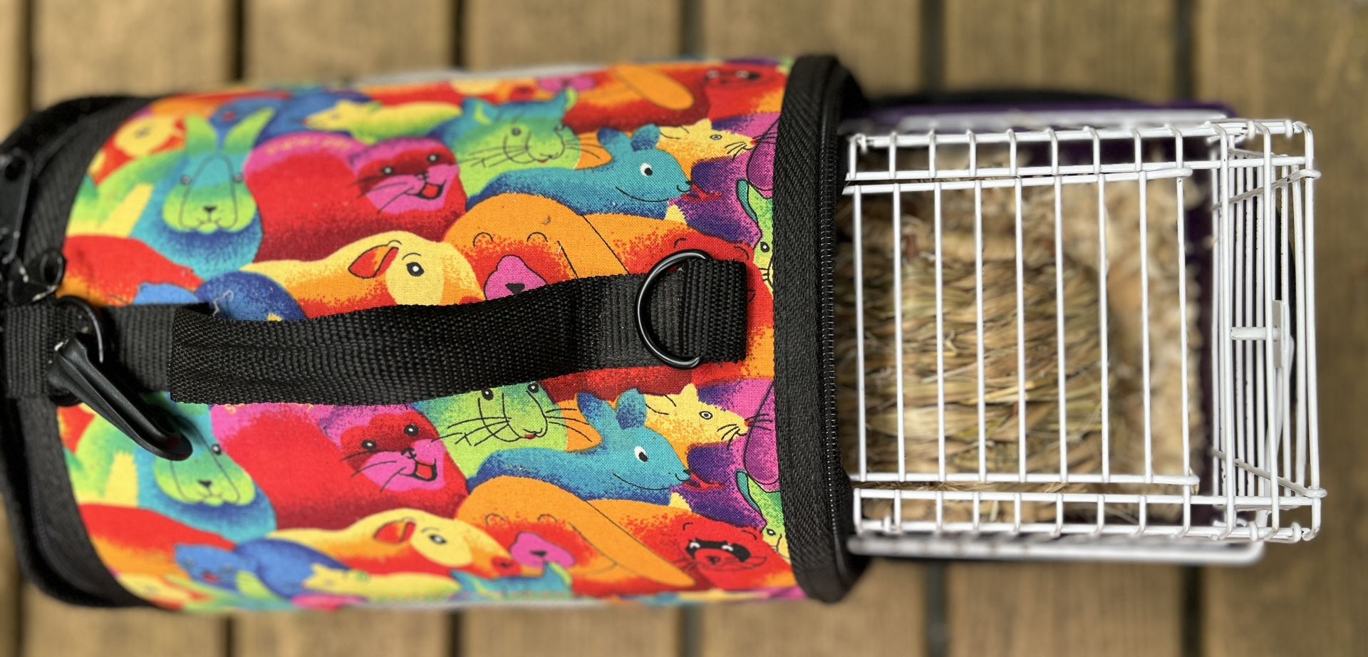 Small Animal Carrier