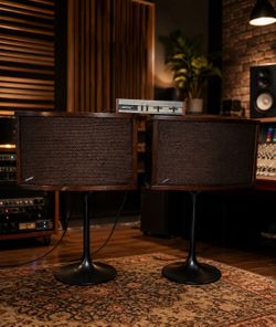Vintage Bose 901 Series III With Equalizer
