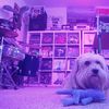 Duggy