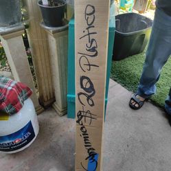 Plástico The Pintura