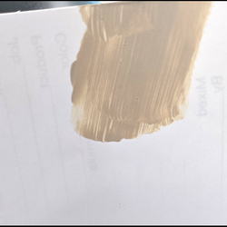 5 gallons baige exterior paint