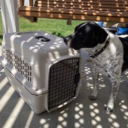 Dog Crate/Carrier/Kennel Small
