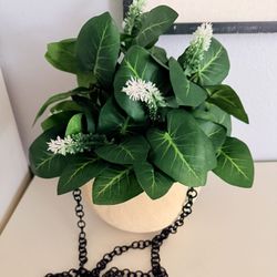 Hanging Plant Decor