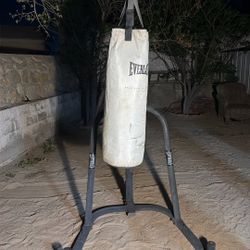 Everlast Punching Bag 