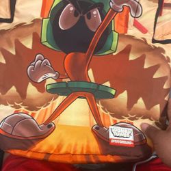 Looney Tunes Spray ground