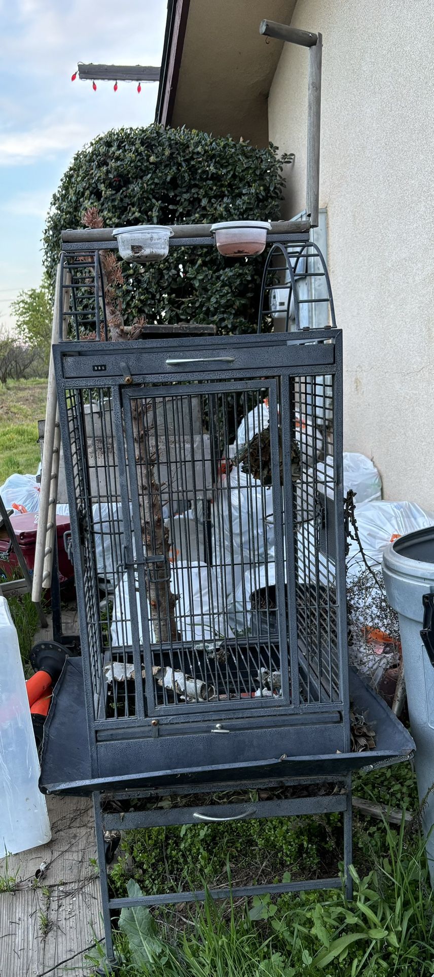Bird Cage